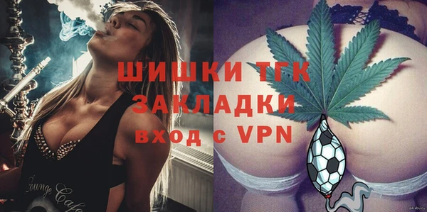 хмурый Алексеевка