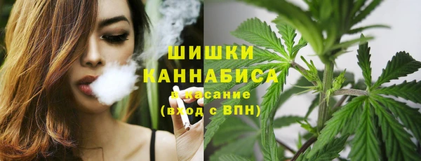 jwh Алзамай