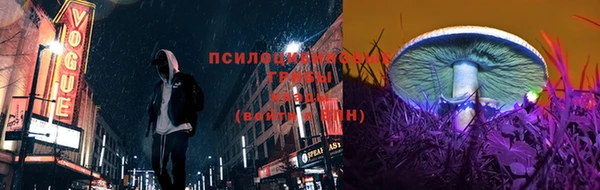 молекула духа Гусиноозёрск