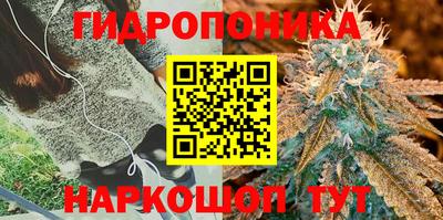 дмт Кандалакша