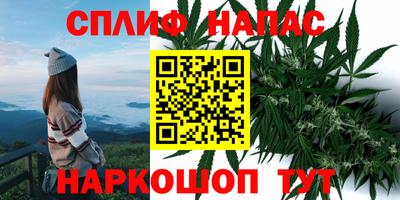 MESCALINE Камышлов
